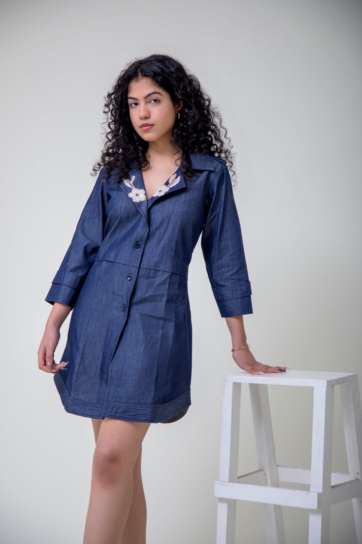 Denim Embroidered Double Collar Dress